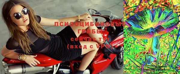 стаф Алексеевка